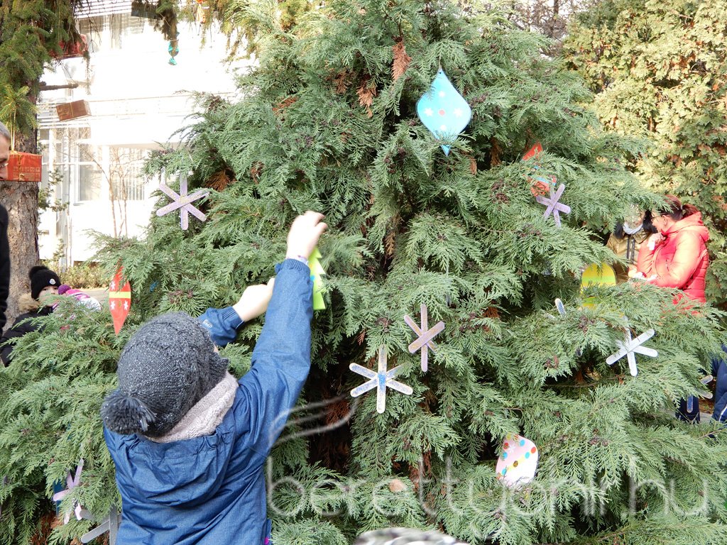 Fenyődíszítés a kórházban 16